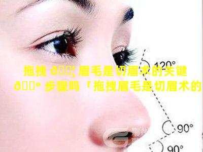 拖拽 🐦 眉毛是切眉术的关键 🌺 步骤吗「拖拽眉毛是切眉术的关键步骤吗为什么」